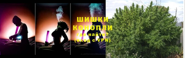шишки Гусев