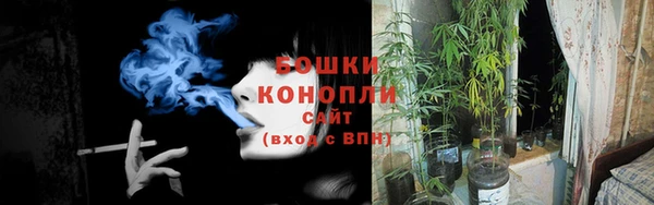 метадон Гусь-Хрустальный
