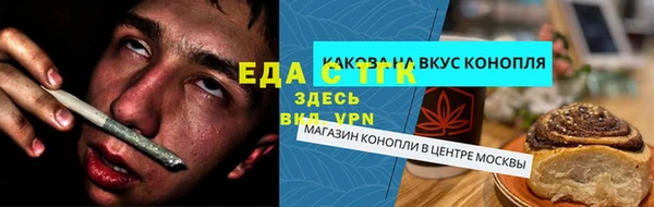 СК Вязьма