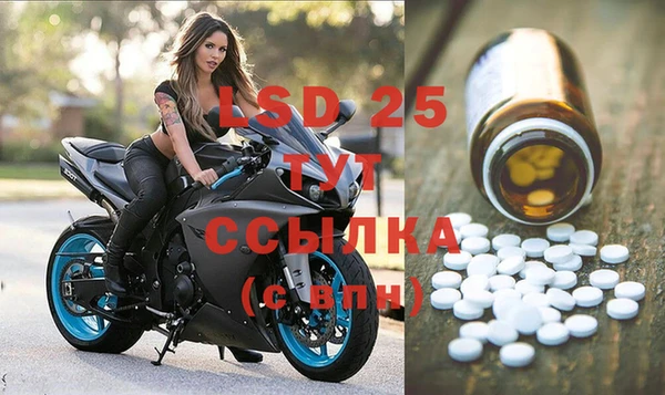шишки Гусев