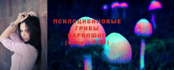 метадон Гусь-Хрустальный
