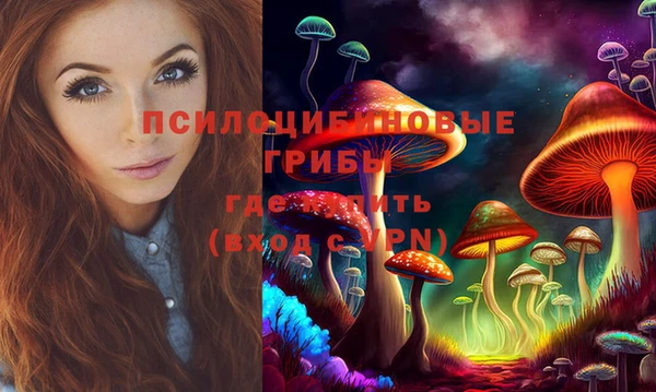тгк Гусиноозёрск