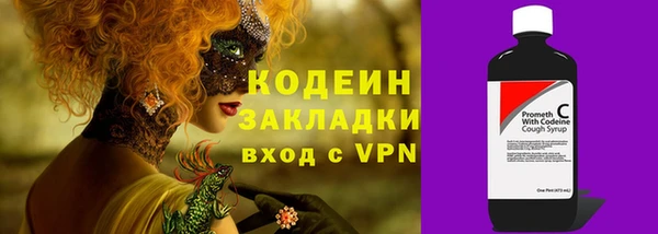 СК Вязьма