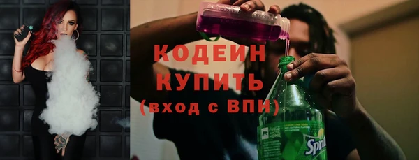 шишки Гусев