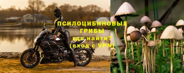 метадон Гусь-Хрустальный