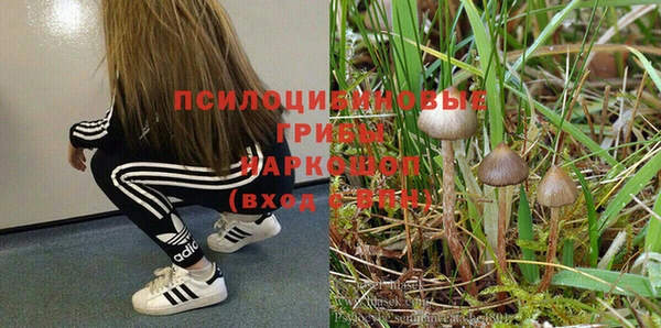 мдпв Верхнеуральск