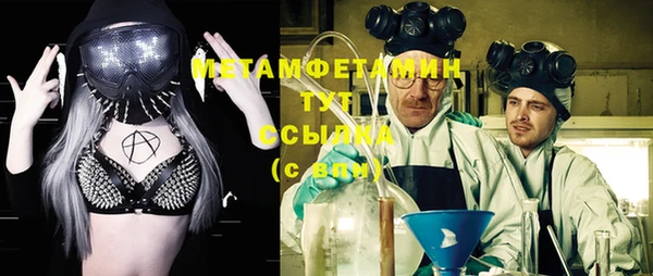 шишки Гусев