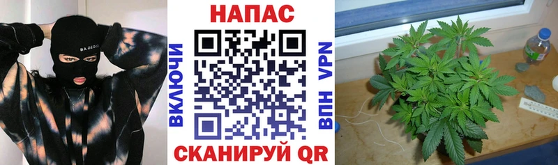 Купить  Острогожск  МАРИХУАНА конопля 